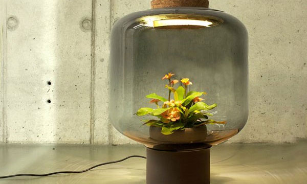 德設計師采用LED防水電源發(fā)明無需打理的 “?植物燈“